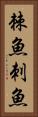棘魚 Vertical Portrait