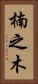 楠之木 Vertical Portrait