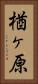 楢ヶ原 Vertical Portrait