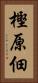 樫原佃 Vertical Portrait