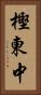 樫東中 Vertical Portrait