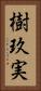 樹玖実 Vertical Portrait