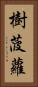 樹菠蘿 Vertical Portrait