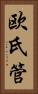 欧氏管 Vertical Portrait