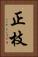 正枝 Vertical Portrait