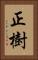 正樹 Vertical Portrait