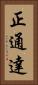 正通達 Vertical Portrait