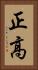 正高 Vertical Portrait