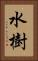 水樹 Vertical Portrait