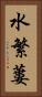 水繁蔞 Vertical Portrait