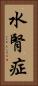 水腎症 Vertical Portrait
