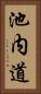 池内道 Vertical Portrait