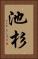 池杉 Vertical Portrait
