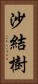 沙結樹 Vertical Portrait