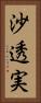 沙透実 Vertical Portrait