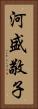 河盛敬子 Vertical Portrait