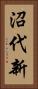 沼代新 Vertical Portrait