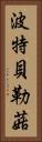 波特貝勒菇 Vertical Portrait