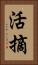 活摘 Vertical Portrait