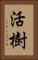 活樹 Vertical Portrait