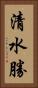 清水勝 Vertical Portrait