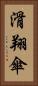滑翔傘 Vertical Portrait