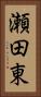 瀬田東 Vertical Portrait