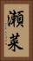 瀬菜 Vertical Portrait