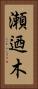 瀬迺木 Vertical Portrait