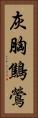 灰胸鷦鶯 Vertical Portrait
