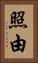 照由 Vertical Portrait