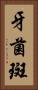 牙菌斑 Vertical Portrait