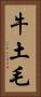 牛土毛 Vertical Portrait