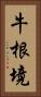 牛根境 Vertical Portrait