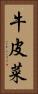 牛皮菜 Vertical Portrait