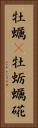 牡蠣(P) Vertical Portrait