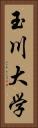 玉川大学 Vertical Portrait