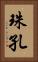 珠孔 Vertical Portrait