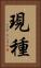 現種 Vertical Portrait