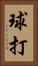 球打 Vertical Portrait