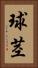 球茎 Vertical Portrait