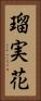 瑠実花 Vertical Portrait