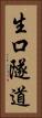 生口隧道 Vertical Portrait