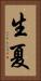 生夏 Vertical Portrait