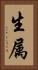 生属 Vertical Portrait
