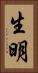 生明 Vertical Portrait