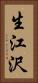 生江沢 Vertical Portrait
