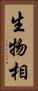 生物相 Vertical Portrait