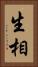 生相 Vertical Portrait