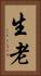 生老 Vertical Portrait